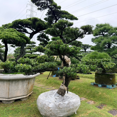 Untitled design (14)